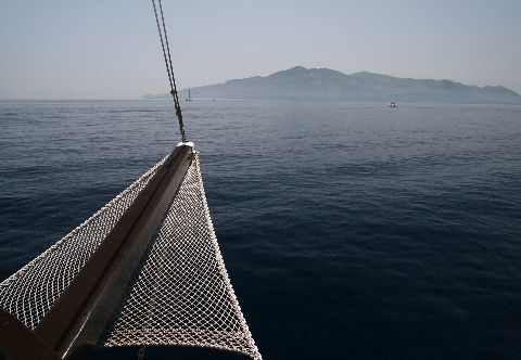 IMG_9238.JPG